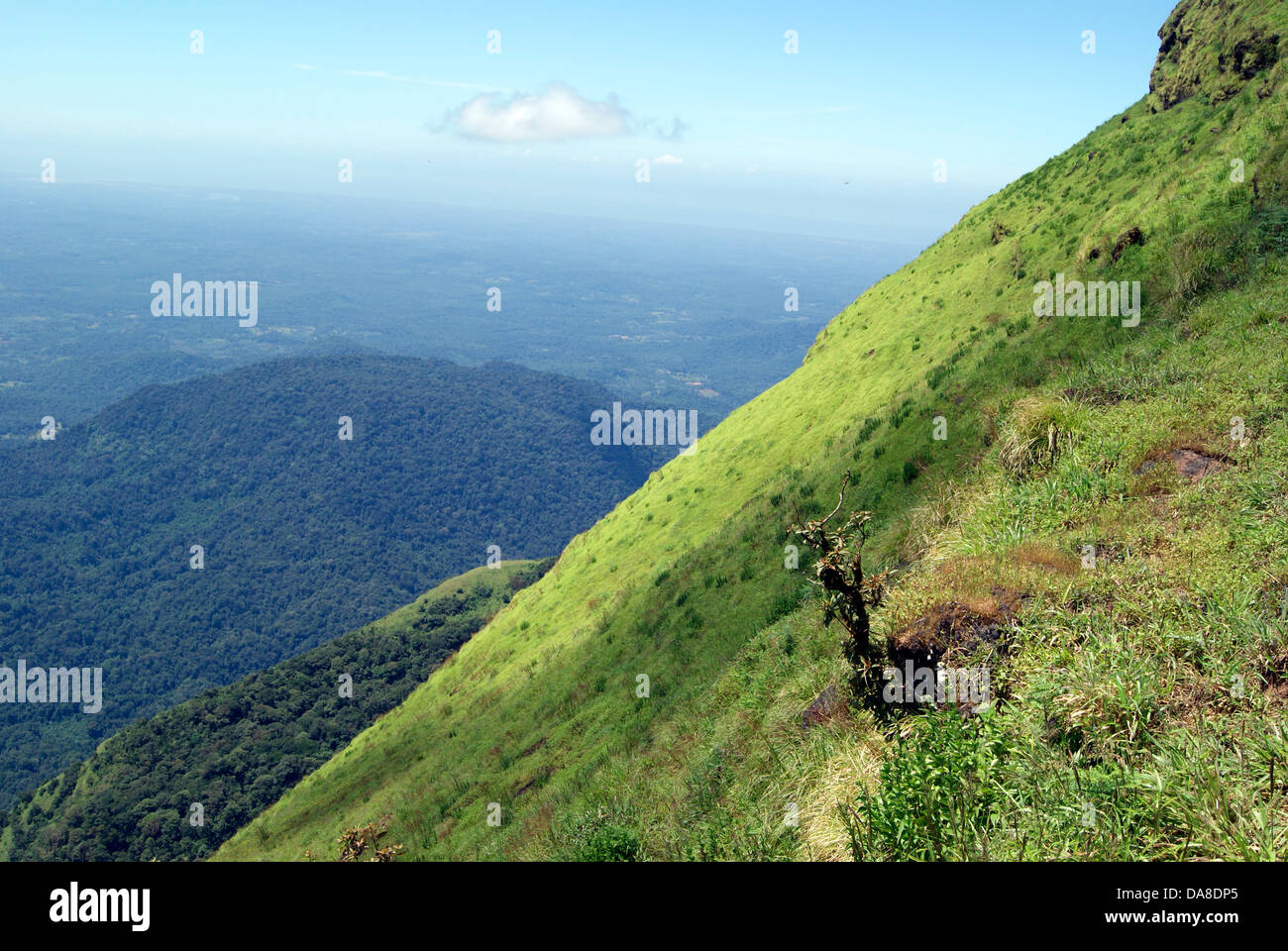 Westghats tiefen Abhang Täler und Berge im Süden Indien Karnataka State Scenerio Querformat Stockfoto