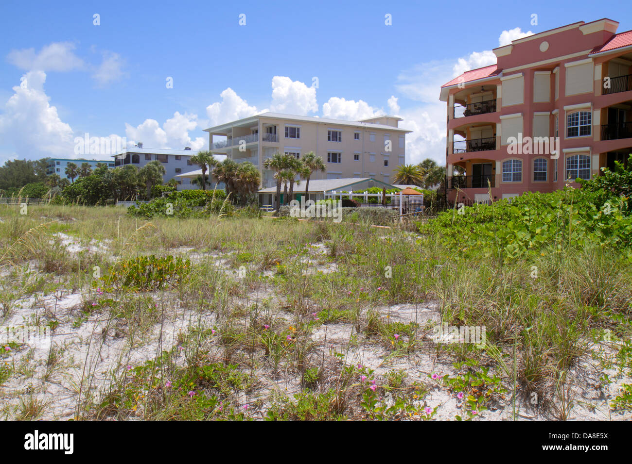 Saint St. Petersburg, Florida, Indian Rocks Beach, Dünengras, Häuser am Strand, Wohnanlagen, Miethäuser, Wohnungen, Besucher reisen Reisetouristen Stockfoto