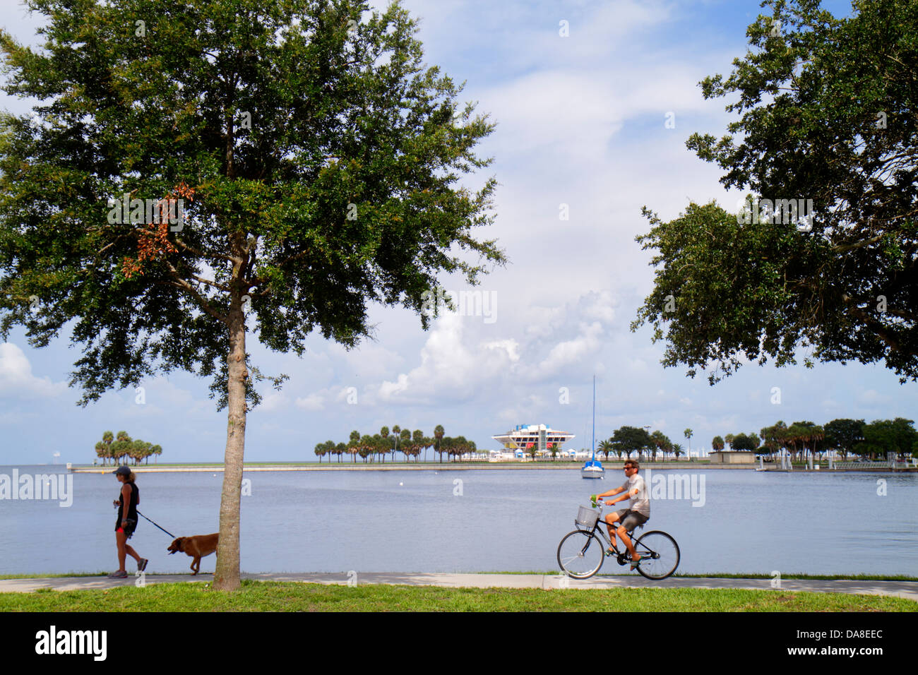 Florida Saint St. Petersburg, North Straub Park, The Pier, Tampa Bay Water, Erwachsene Erwachsene Frau Frauen weibliche Dame, Wandern, Hunde, Mann Männer Erwachsene Erwachsene Erwachsene Stockfoto