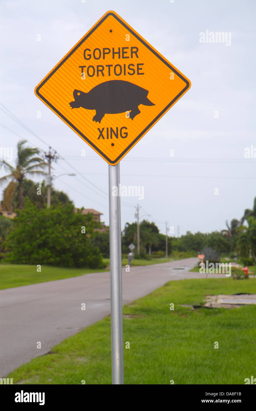 Florida Marco Island, Schild, Logo, Gopher Schildkröte überqueren, schützen, Warnung, Besucher reisen Reise Tourismus Wahrzeichen Kultur c Stockfoto