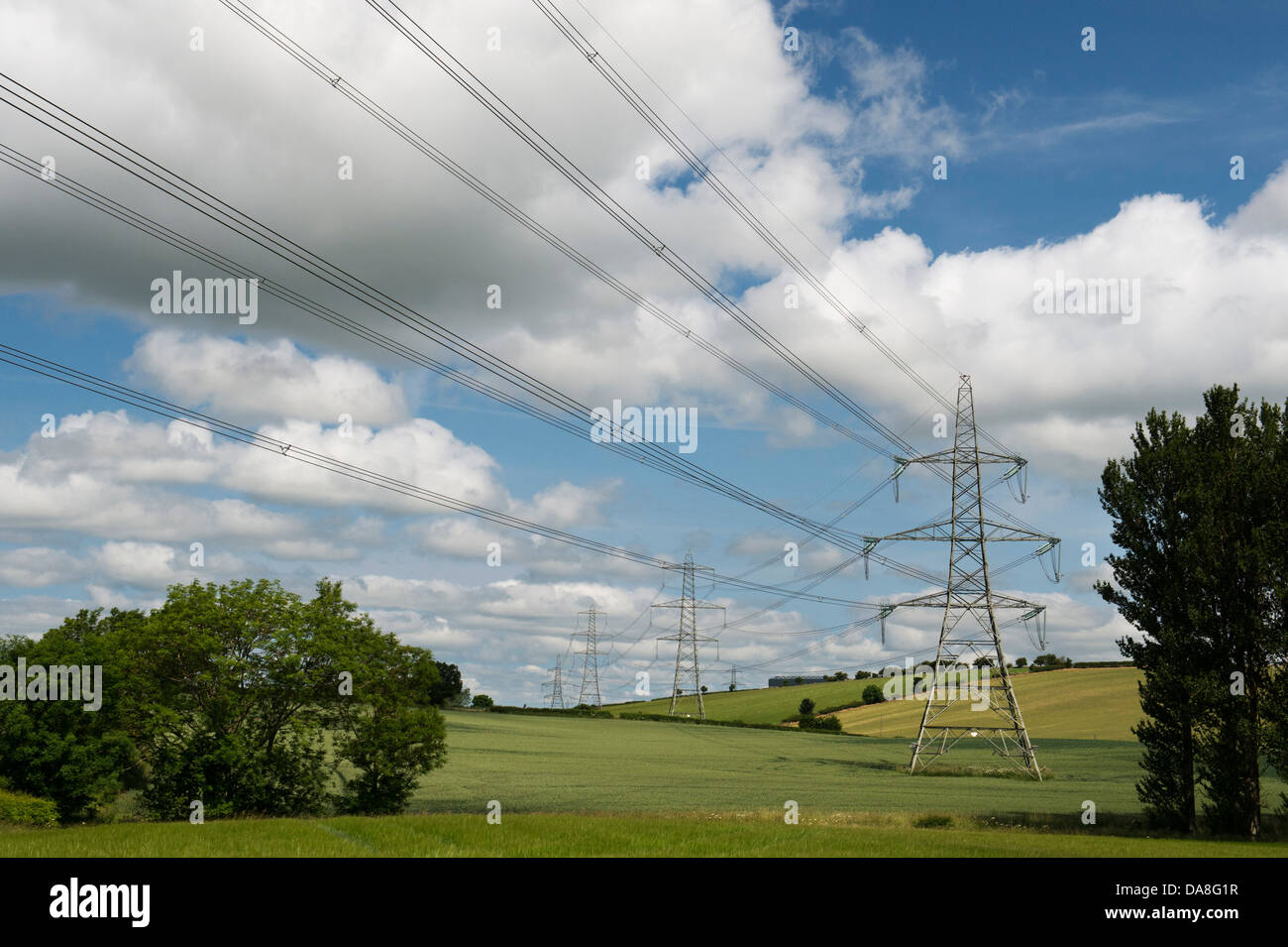 Strommasten geht quer durch die schottische Landschaft. Schottland Stockfoto