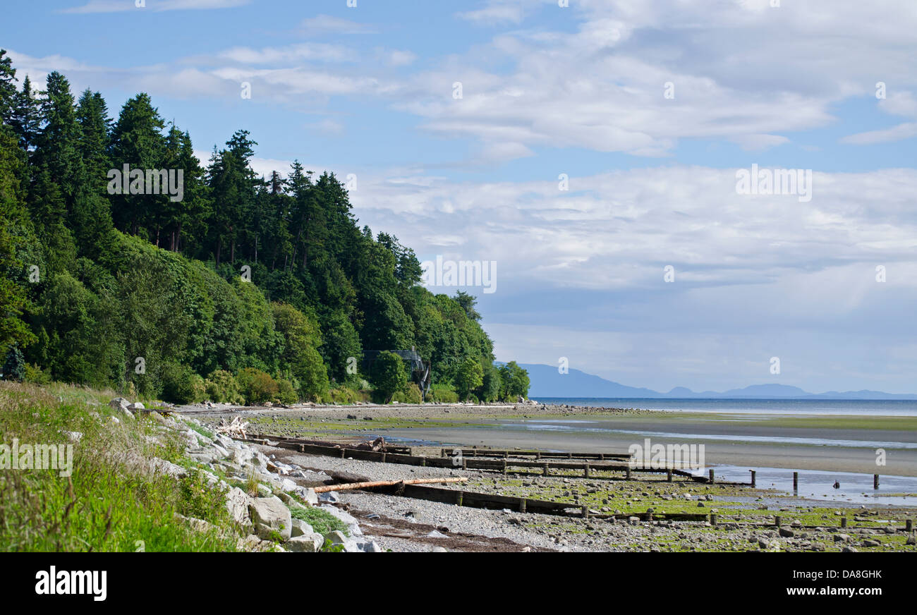 Küste bei Crescent Beach, British Columbia, Kanada. Blick auf das Boundary Bay.  Sandy Shores und Wald Spaziergang. Stockfoto