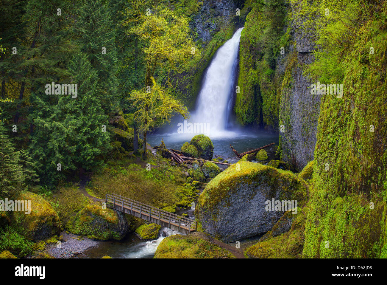 USA, USA, Amerika, Oregon, Wasserfall, Wasser, Herbst, Brücke, Fluss, Fels, rock, Riese, Felsen, Bäume, Wald, Stockfoto