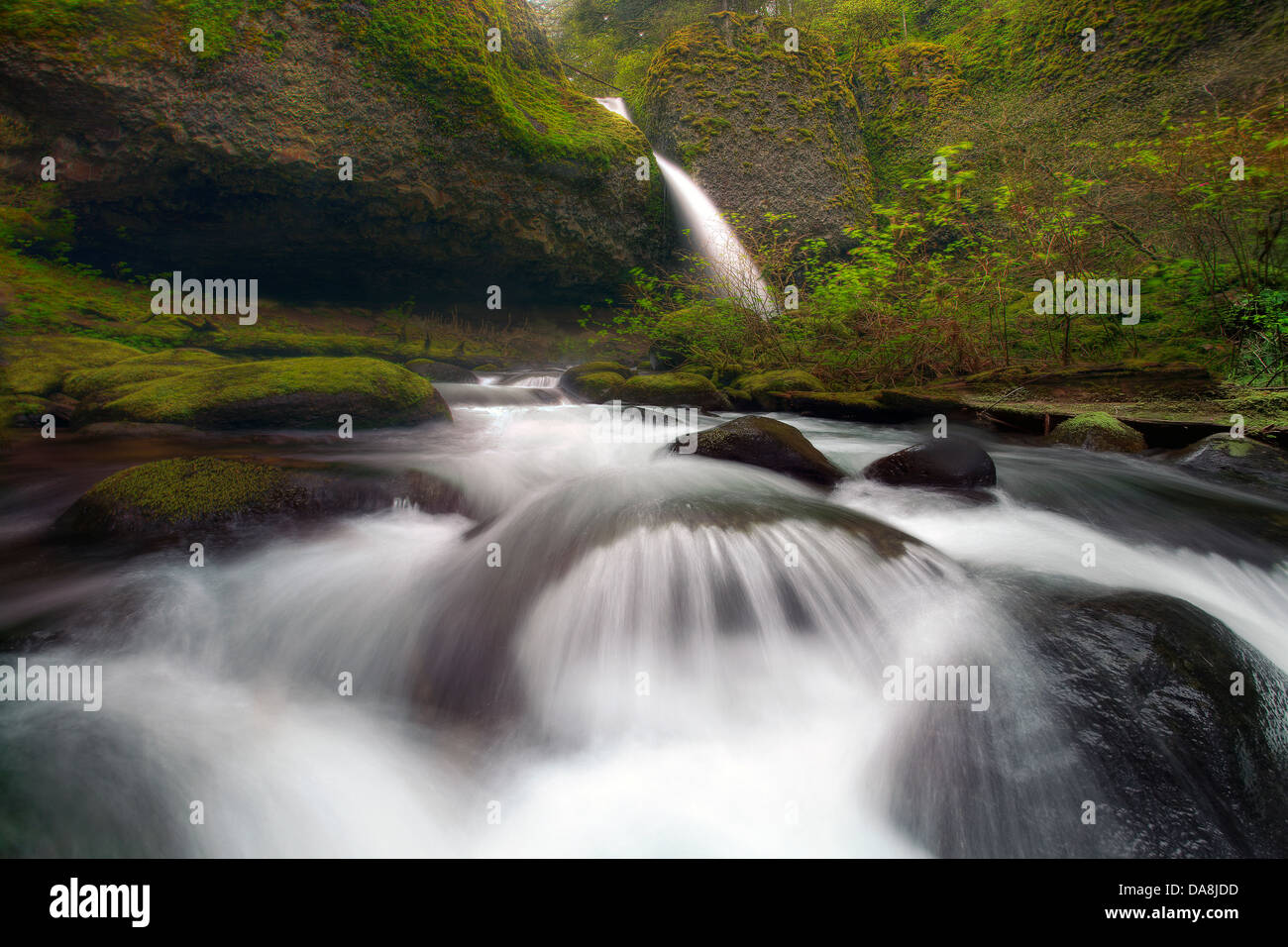 USA, USA, Amerika, Oregon, Wasserfall, Wasser, Strom, Fluss, Felsen, Canyon, grün, Moos, Rasen, Stockfoto