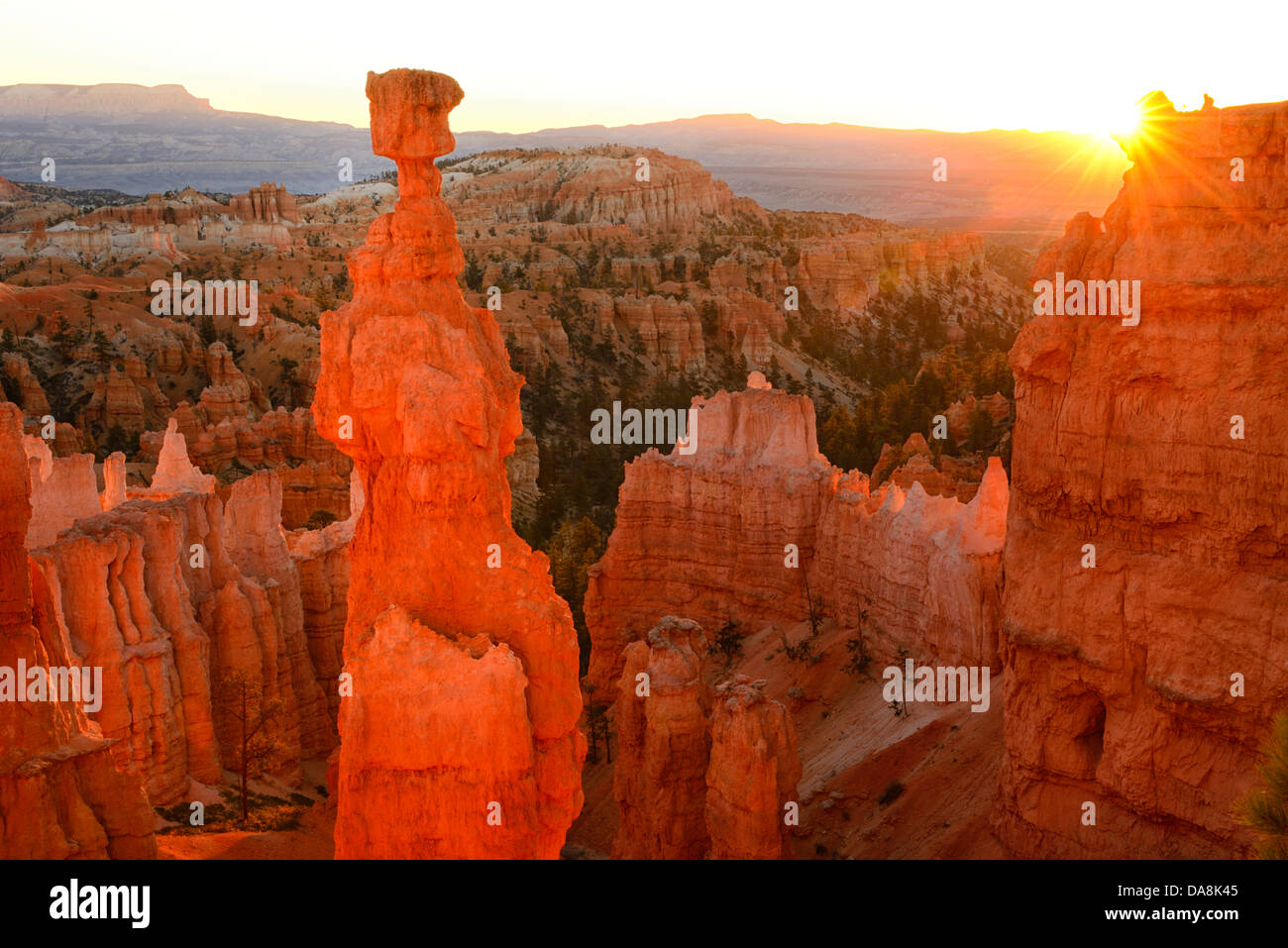 USA, USA, Amerika, Utah, Canyon, Nordamerika, vier Ecken, Colorado Plateau, Bryce Canyon, Nationalpark, Sonnenaufgang, Stockfoto