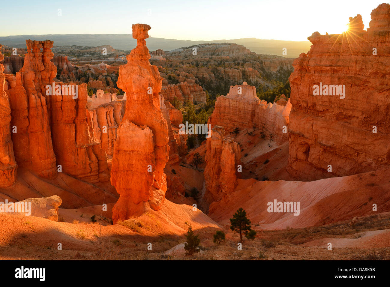 USA, USA, Amerika, Utah, Canyon, Nordamerika, vier Ecken, Colorado Plateau, Bryce Canyon, Nationalpark, Thors Ha Stockfoto