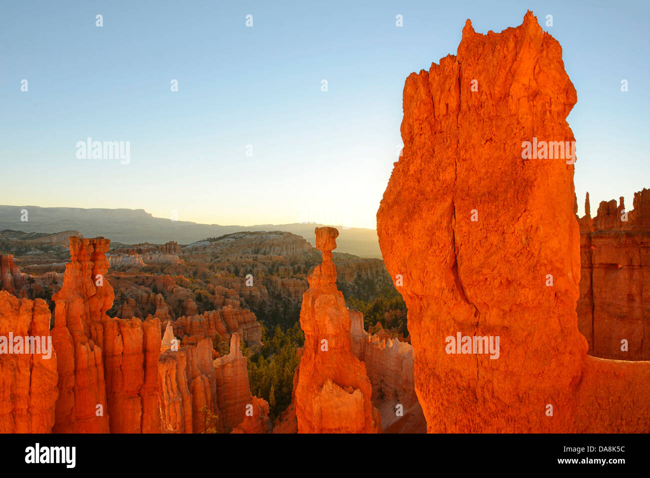 USA, USA, Amerika, Utah, Canyon, Nordamerika, vier Ecken, Colorado, Plateau, Bryce Canyon Nationalpark, sandston Stockfoto
