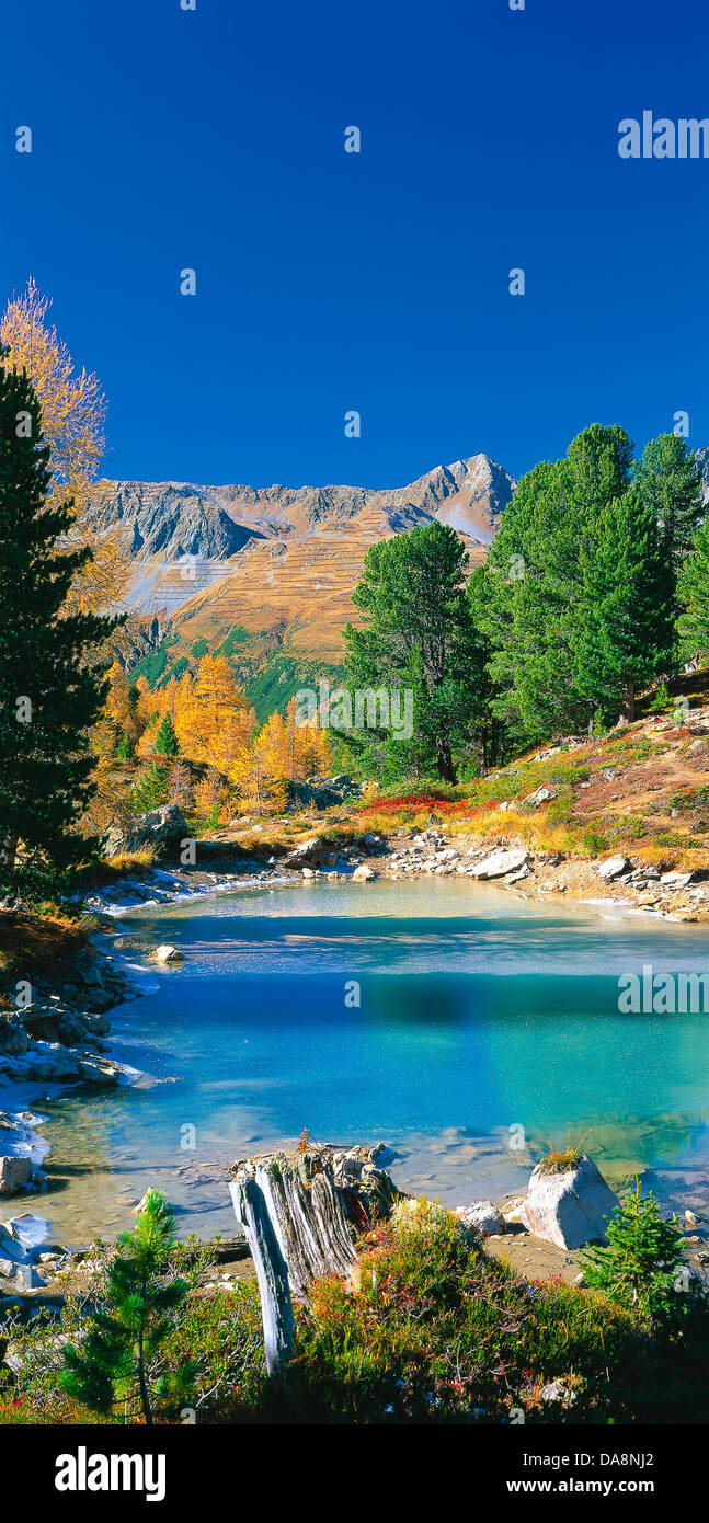 Österreich, Europa, Tirol, Paznaun, Ischgl, Mathon, Berglisee, See, See, Wasser, Arven, Bäume, Holz, Wald, Larche Stockfoto