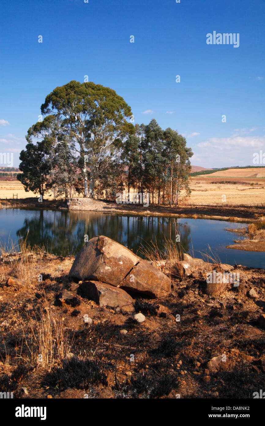 Winterlandschaft in der Nähe von Underberg, Kwazulu Natal, Südafrika Stockfoto