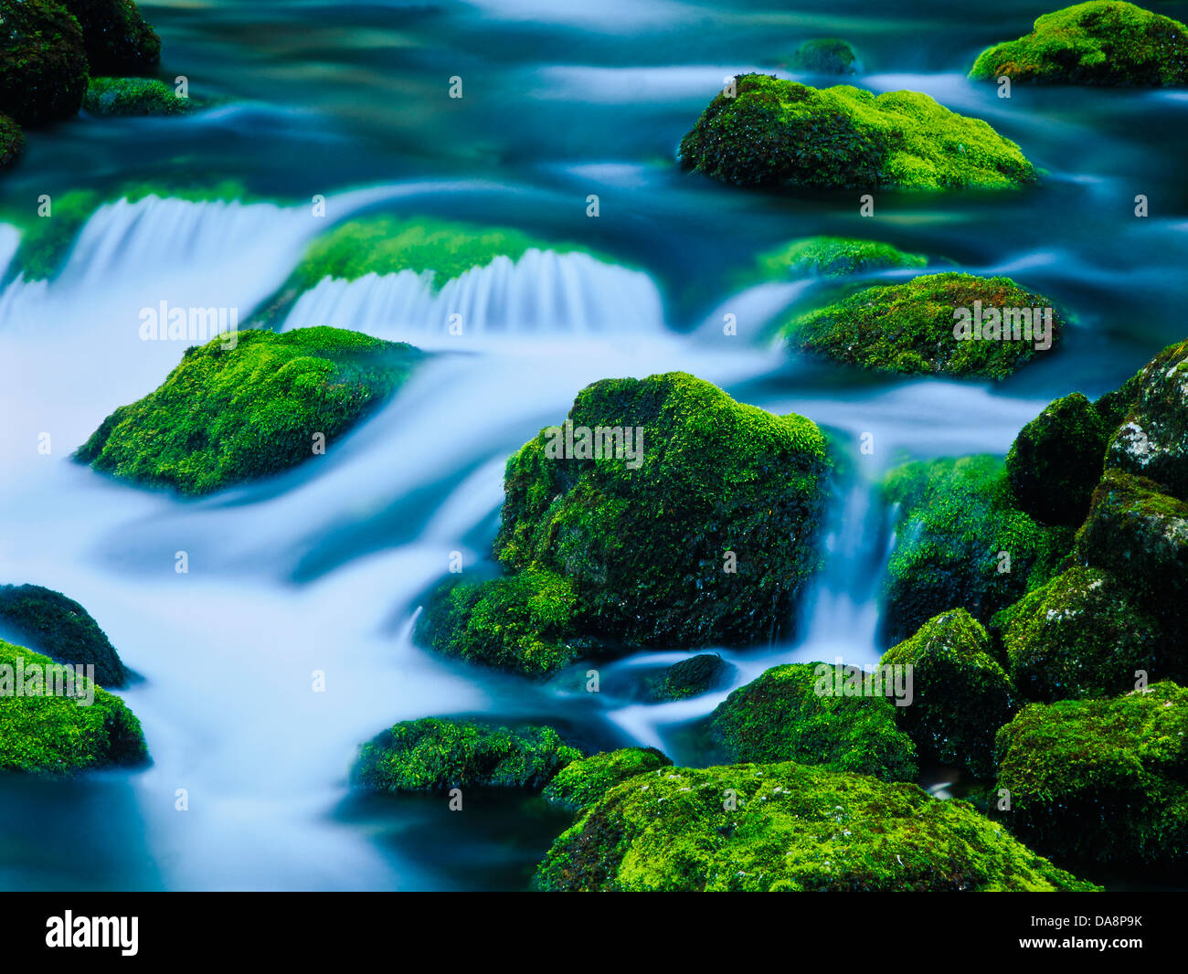 Österreich, Europa, Salzburg land, Land, Golling, Bach, Berg Bach, Wasser, verschwommen, Milch, fließenden, Steinen, Moos, Wasserfall, Stockfoto