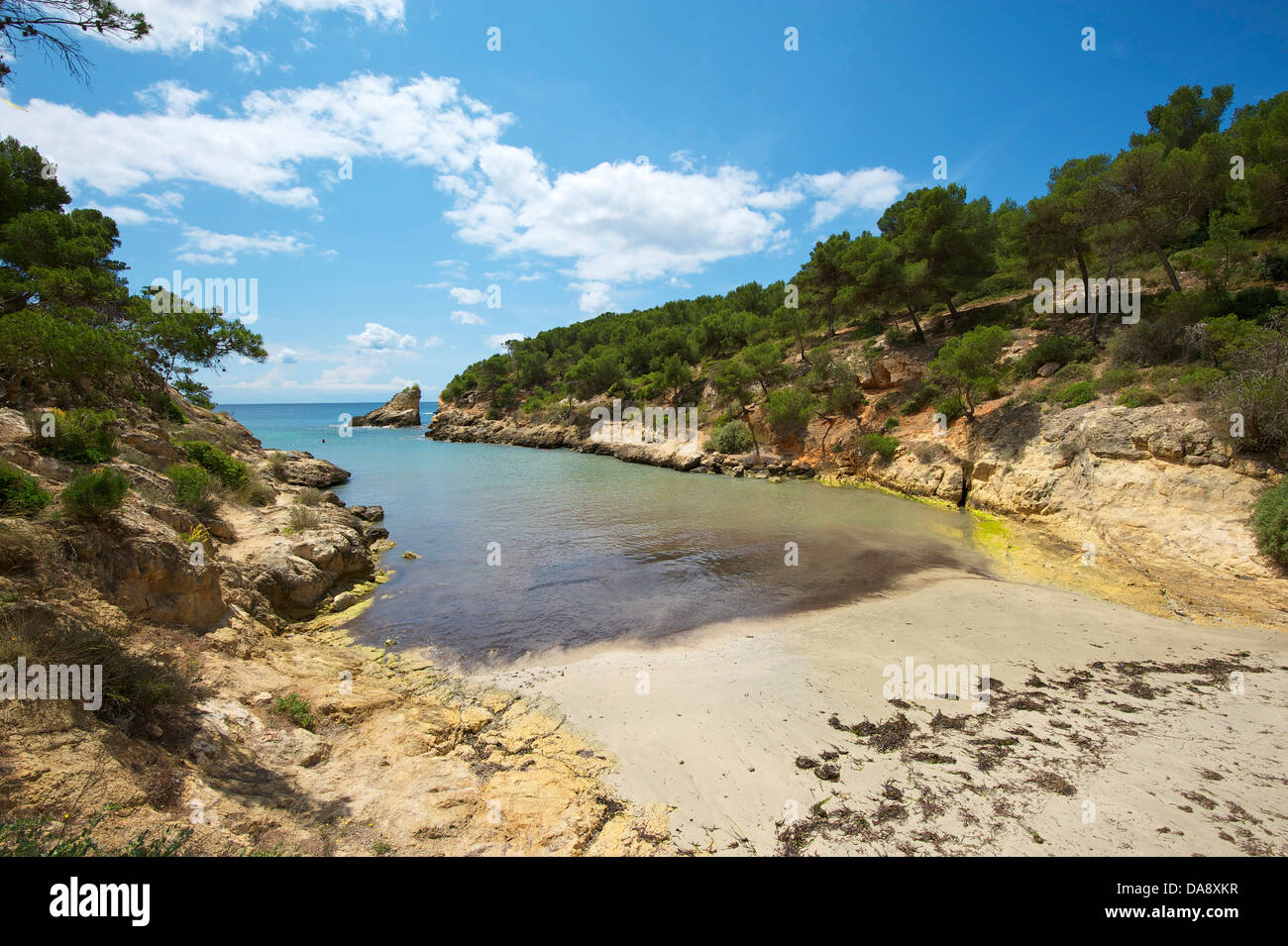 Balearen, Mallorca, Mallorca, Spanien, Europa, außerhalb, Sandstrand, Sandstrände, Strand, Meer, Strände, Küsten, Echtheitszertifikate Stockfoto