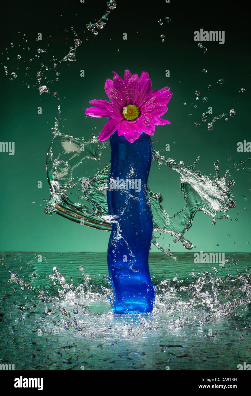 Blumen In blauer kurvige Vase mit Spritzwasser Stockfoto