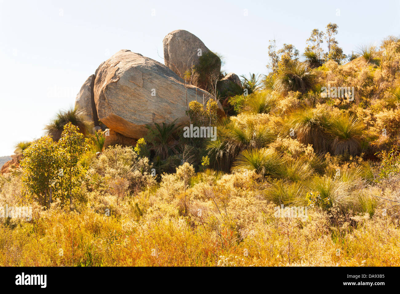 Granitblock in der Vegetation, Western Australia Stockfoto