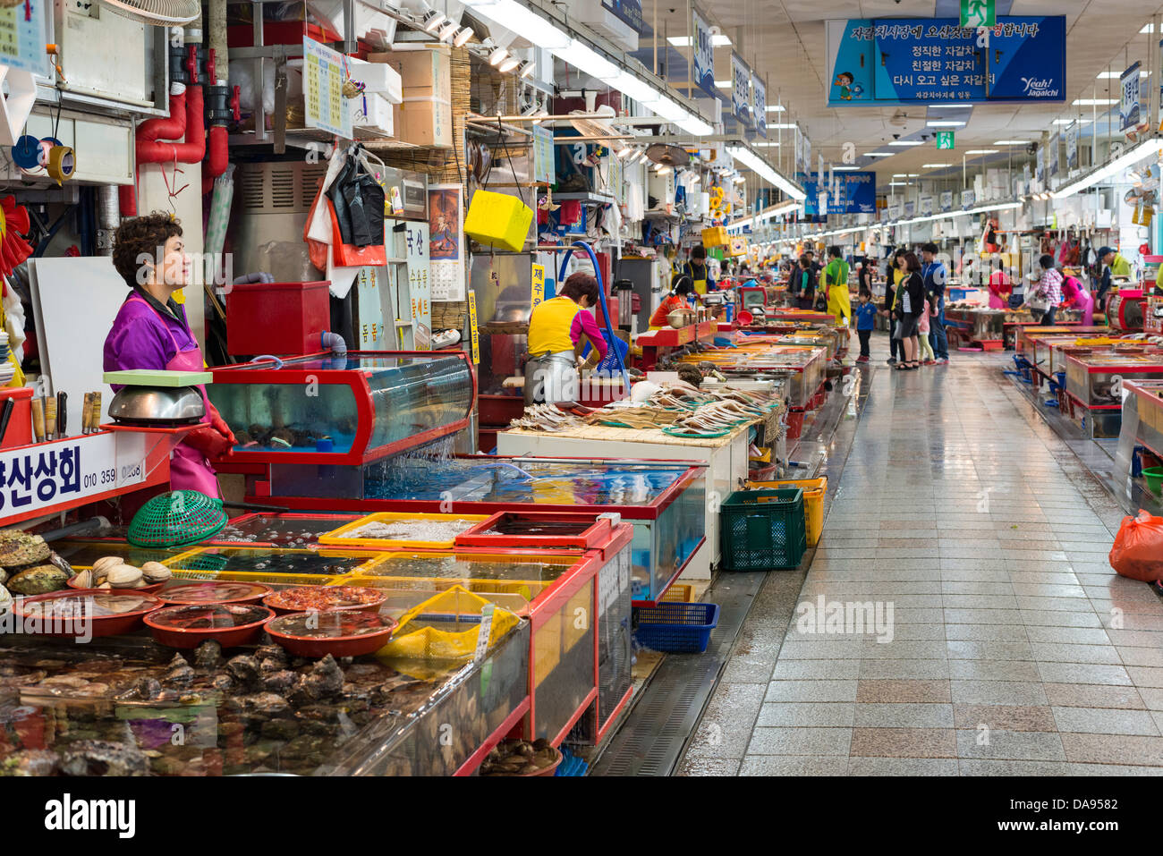 Jagalchi Fischmarkt, Busan, Südkorea Stockfoto