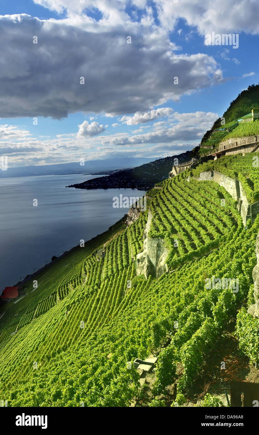 Licht und Dunkelheit spielen am Genfer See und der UNESCO gelisteten Weinberge des Lavaux, in der Nähe von Montreux in der Schweiz Stockfoto