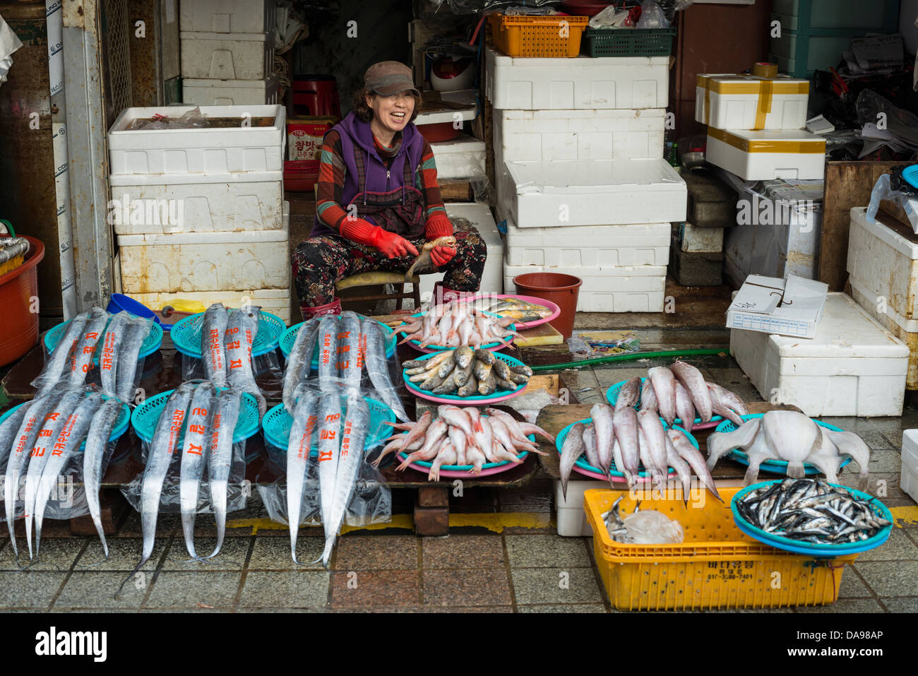 Jagalchi Fischmarkt, Busan, Südkorea Stockfoto