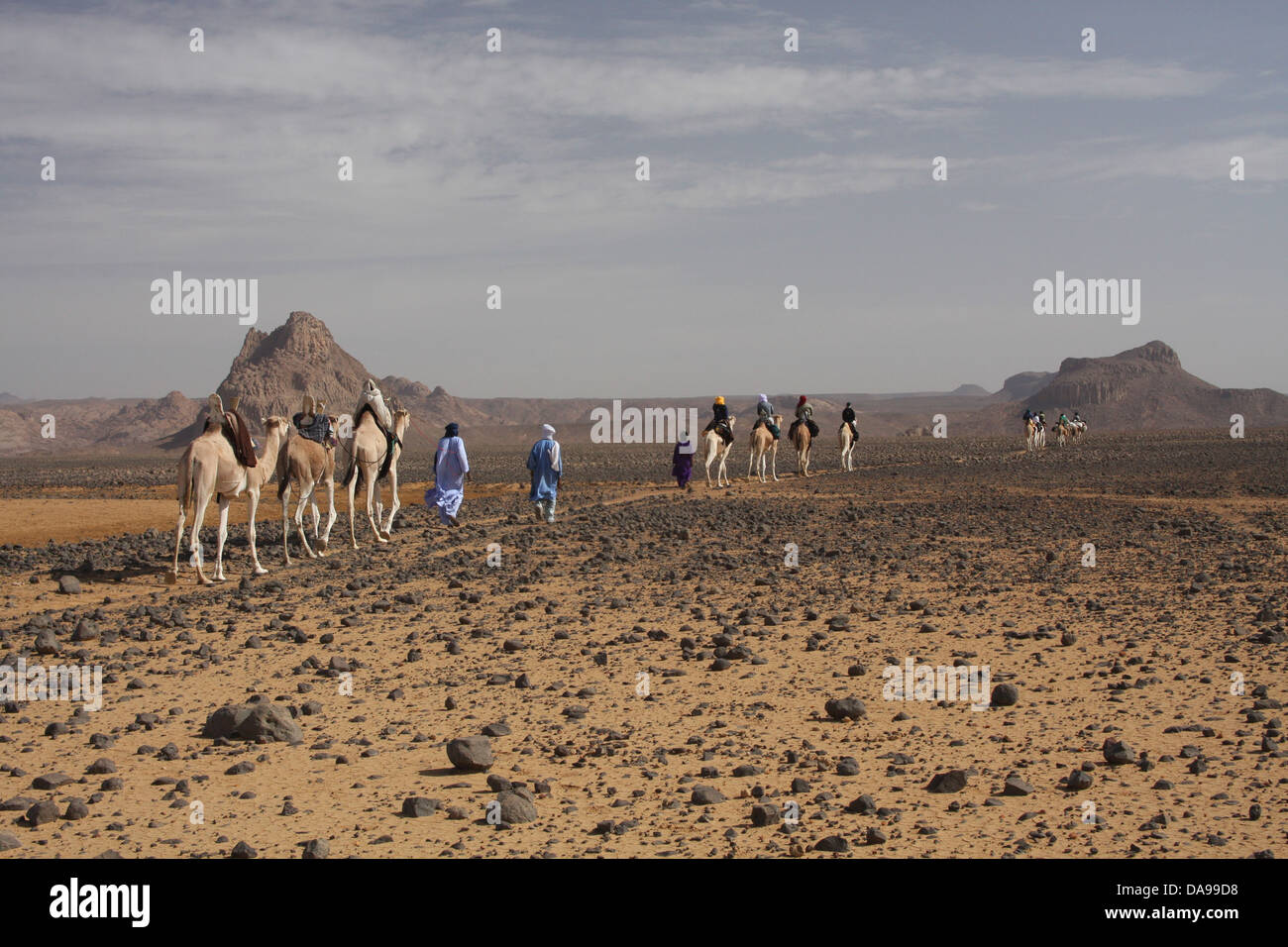 Algerien, Afrika, Nordafrika, Wüste, Stein, Wüste, steinige Wüste, Sahara, Tamanrasset, Hoggar, Ahaggar, Berg, Berge, Tu Stockfoto