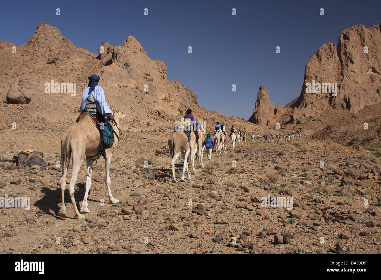 Algerien, Afrika, Nordafrika, Wüste, Stein, Wüste, steinige Wüste, Sahara, Tamanrasset, Hoggar, Ahaggar, Berg, Berge, Tu Stockfoto