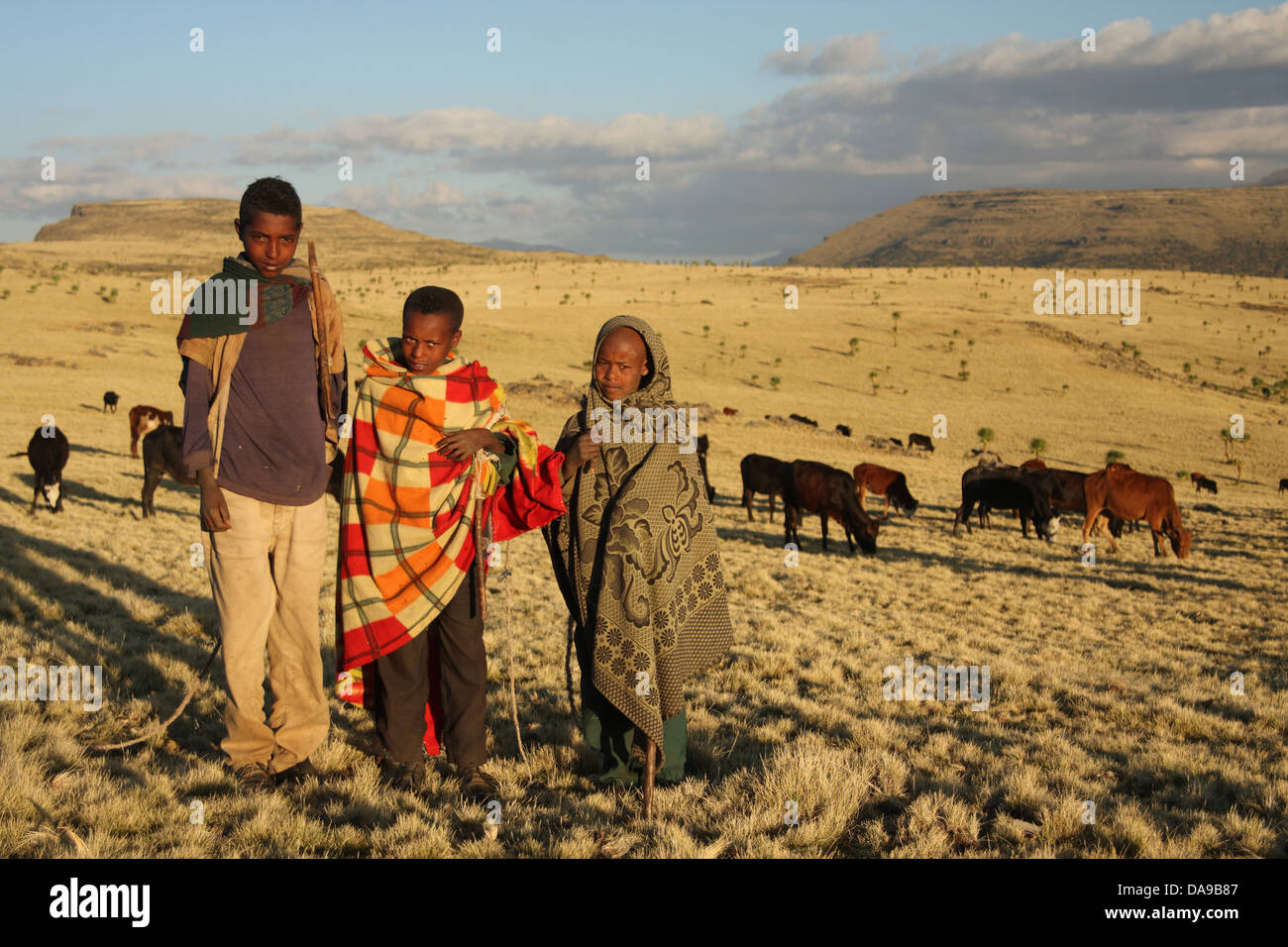 Äthiopien, Afrika, Simien, Simien Berge, Nationalpark, Landschaft, Berg, Gebirge, Hochland, World Heritage Site, Stockfoto