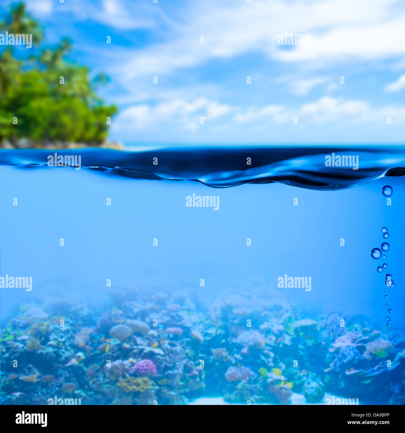Unterwasser tropischen Meer mit Wasser Oberfläche Hintergrund Stockfoto