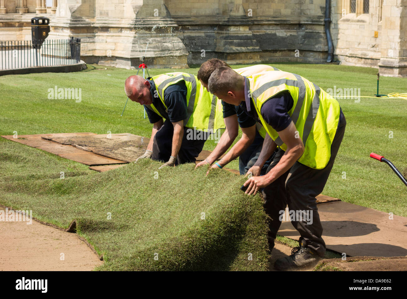 Männer legen Rasen außen York Minster, York, Yorkshire, England, UK Stockfoto