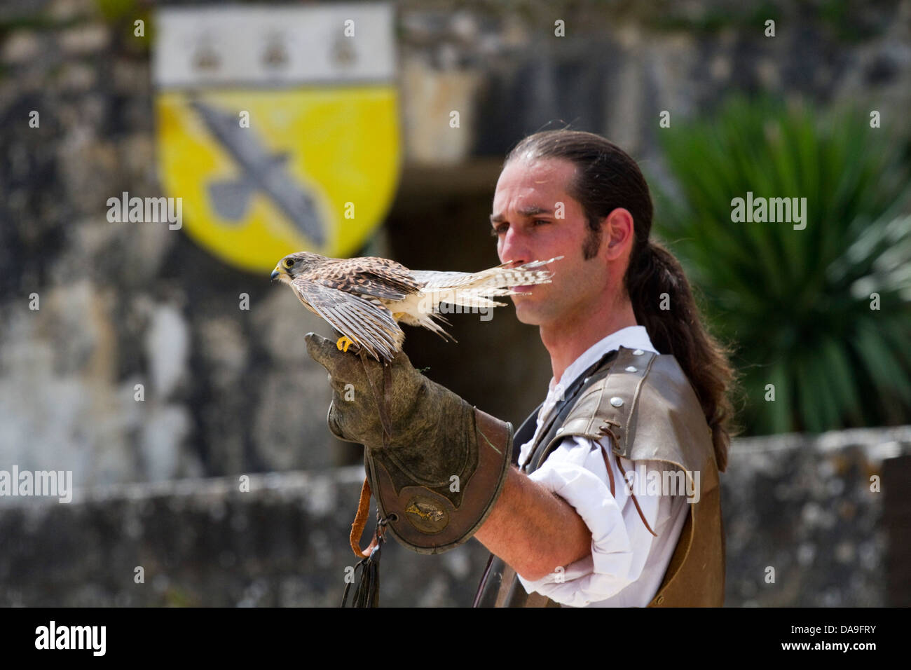 Performer hält einen Falken auf der Birds Of Prey zeigen in Provins während mittelalterliche Festlichkeiten. Stockfoto