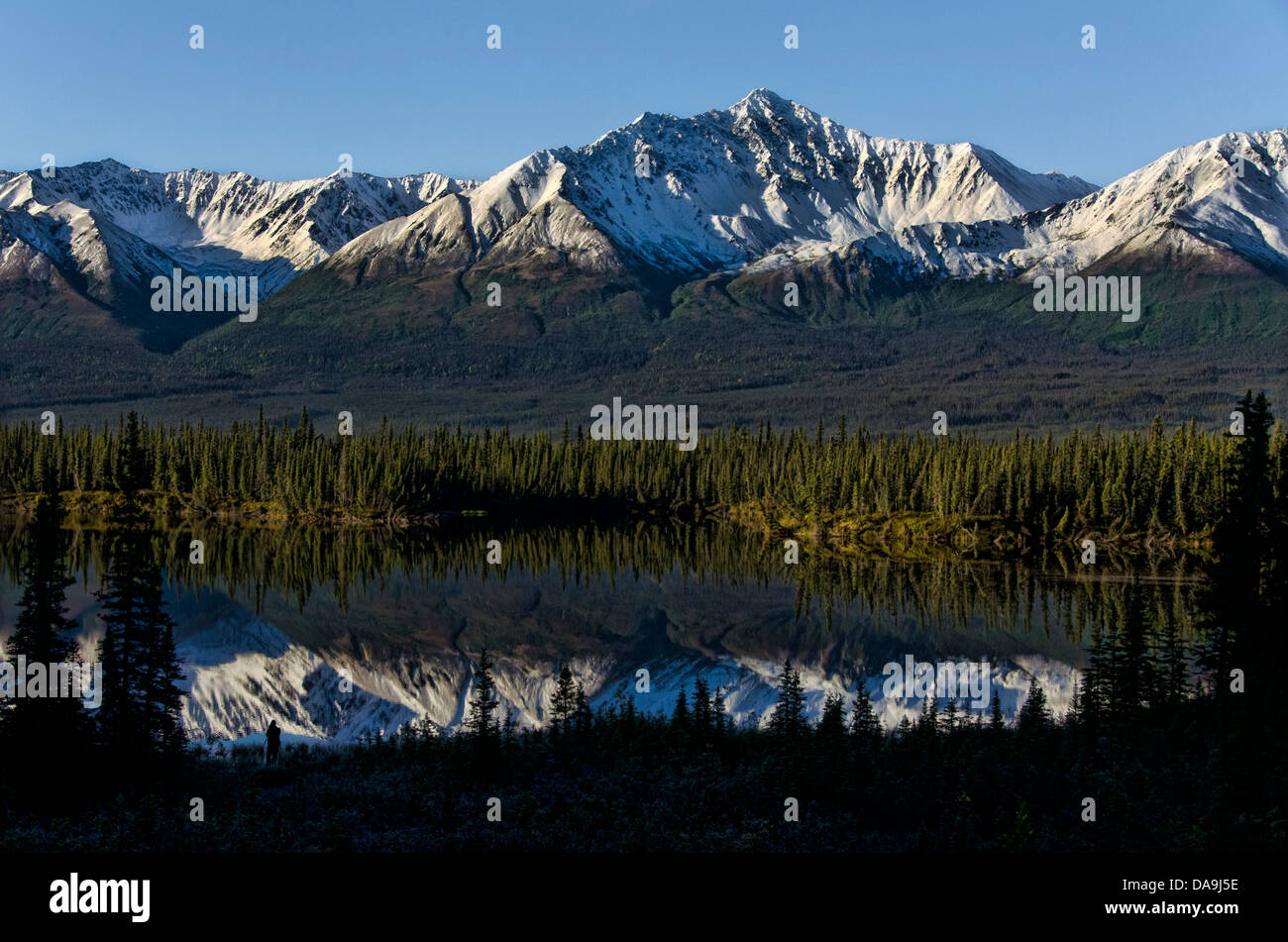 See, Reflexion, Kluane Berge, Yukon, Kanada, Wald, Landschaft Stockfoto