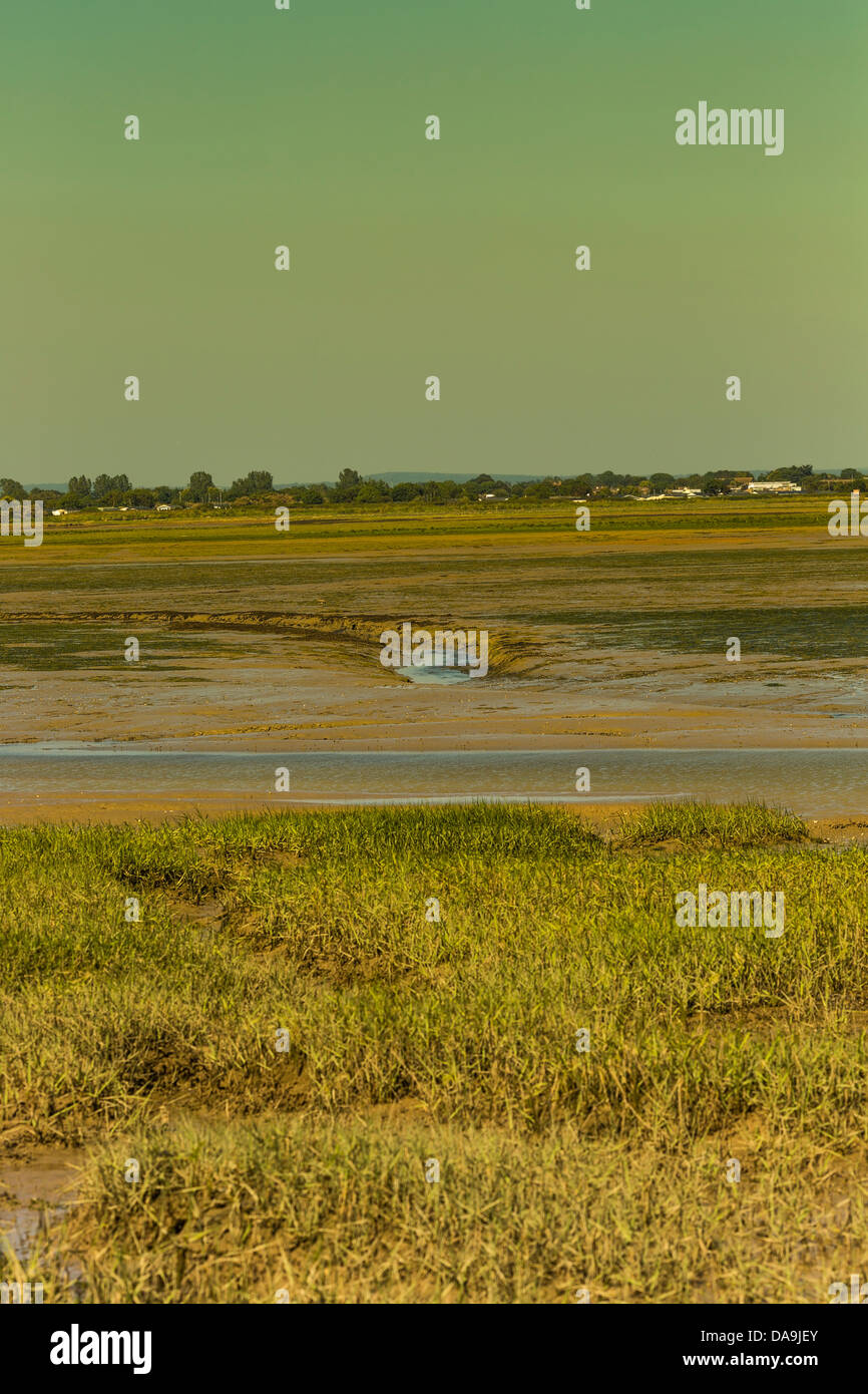 Pagham Harbour Nature Reserve West Sussex England Stockfoto