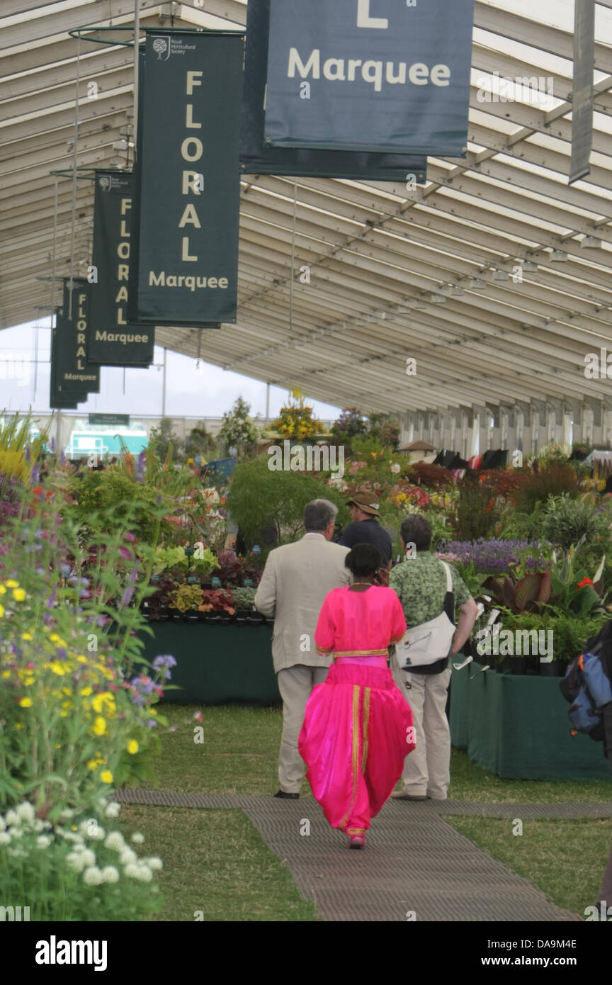 London, UK. 8. Juli 2013. Die floralen Festzelt an RHS Hampton Court Palace Flower Show. Bildnachweis: Martyn Wheatley/Alamy Live News Stockfoto