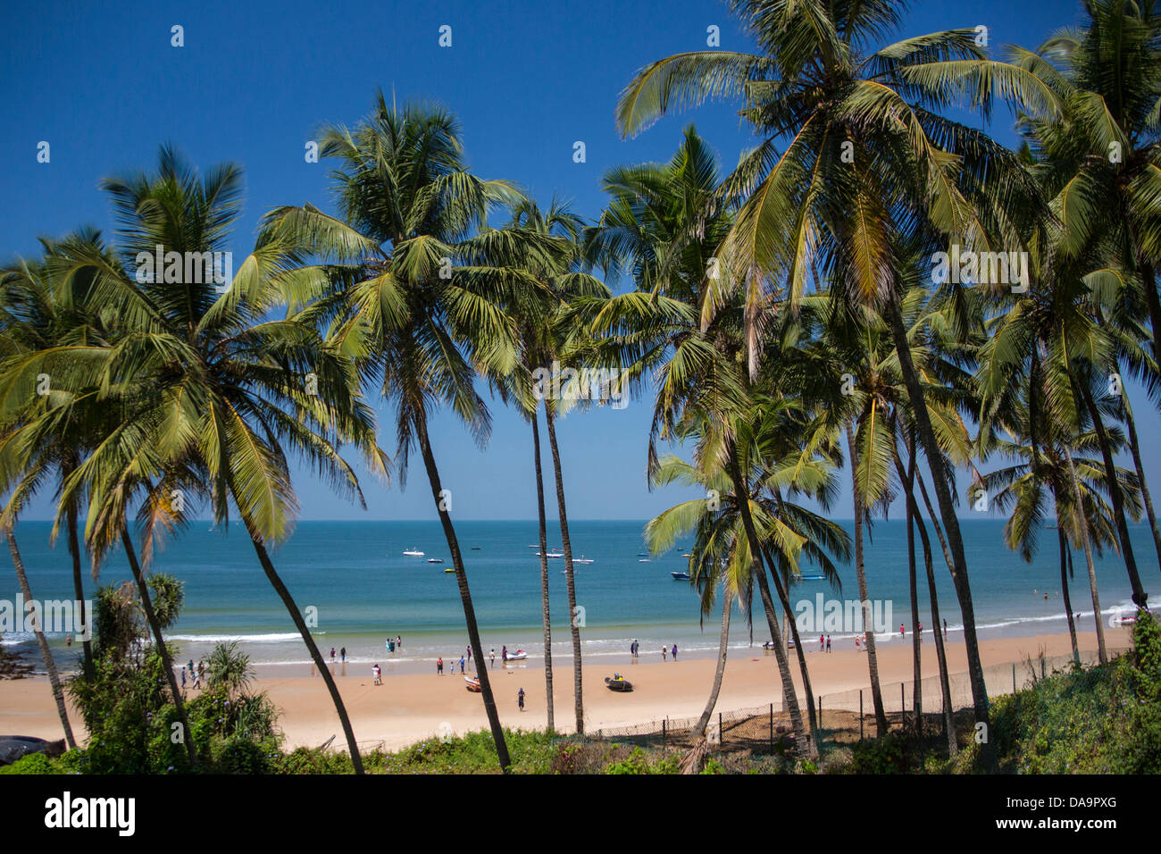 Indien, Süd-Indien, Asien, Goa, Sinquerim Beach, Sinquerim, Strand, blau, Palme, Palmen Bäume, Tourismus, Reisen Stockfoto