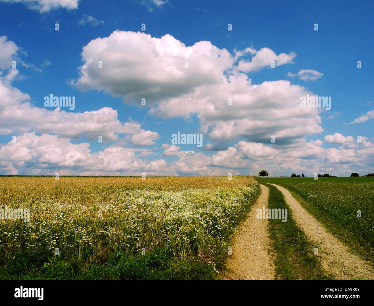 Deutschland, Oberpfalz, Getreide-Felder, Kornfelder, Landwirtschaft, Weg, Feldweg, Himmel, blau, Wolken, Wolken Heap Stockfoto