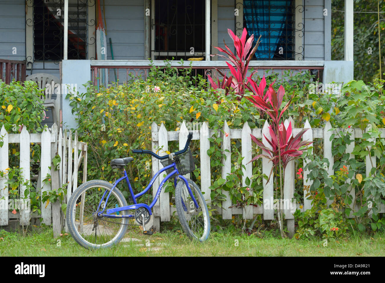 Belize City, Mittelamerika, Belize, Burrel Boom, Dorf, Fahrrad, Haus, Garten, tropisch Stockfoto