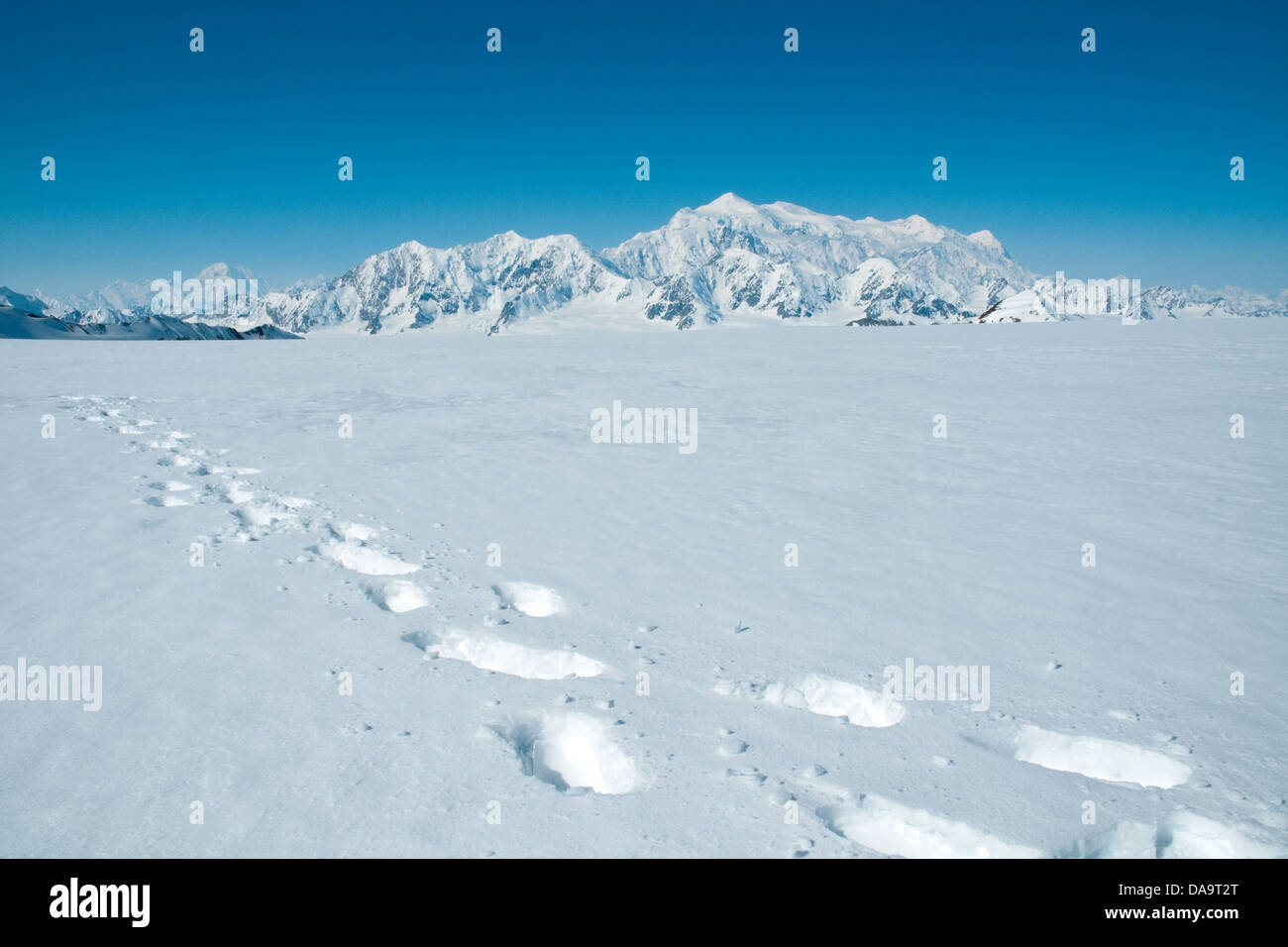 Schneeschuh druckt auf einem Gletscher in St. Elias Mountains mit Mount Logan in der Ferne, Yukon, Kanada. Stockfoto