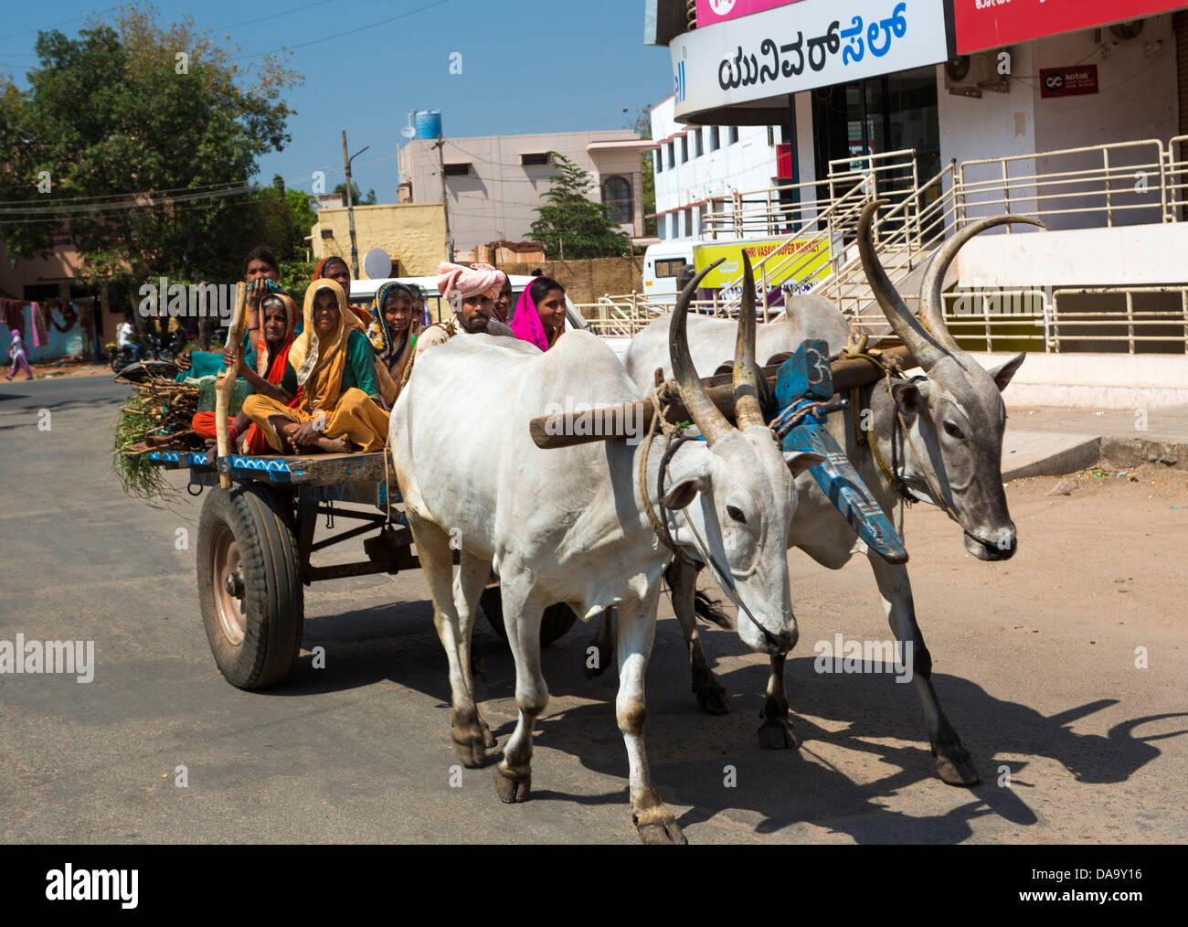 Indien, Süd-Indien, Asien, Stiere, Karren, Wagen, bunte, Landwirte, Transport, Primitive, Ochse, Stockfoto