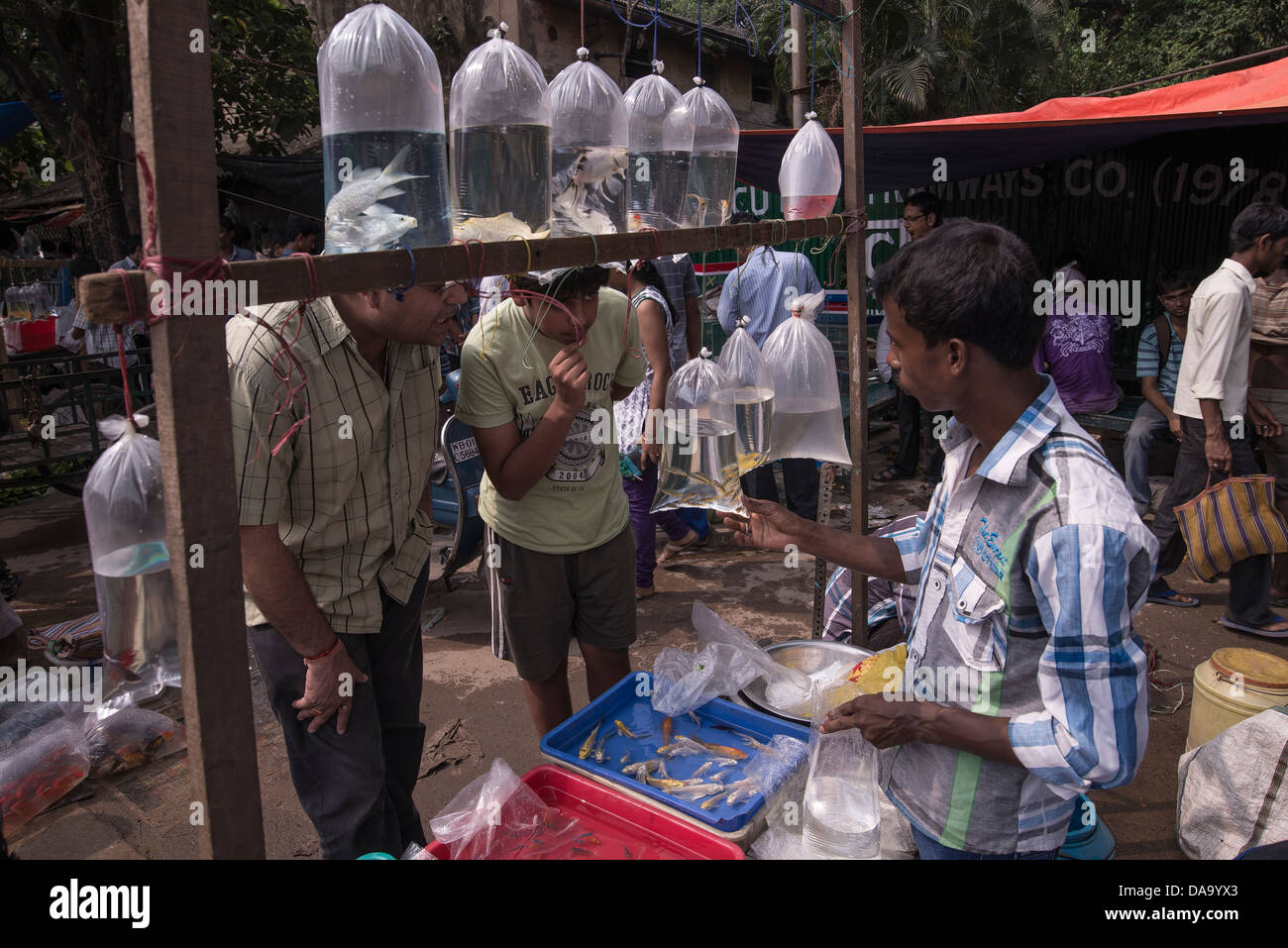 Indien-Markt Stockfoto