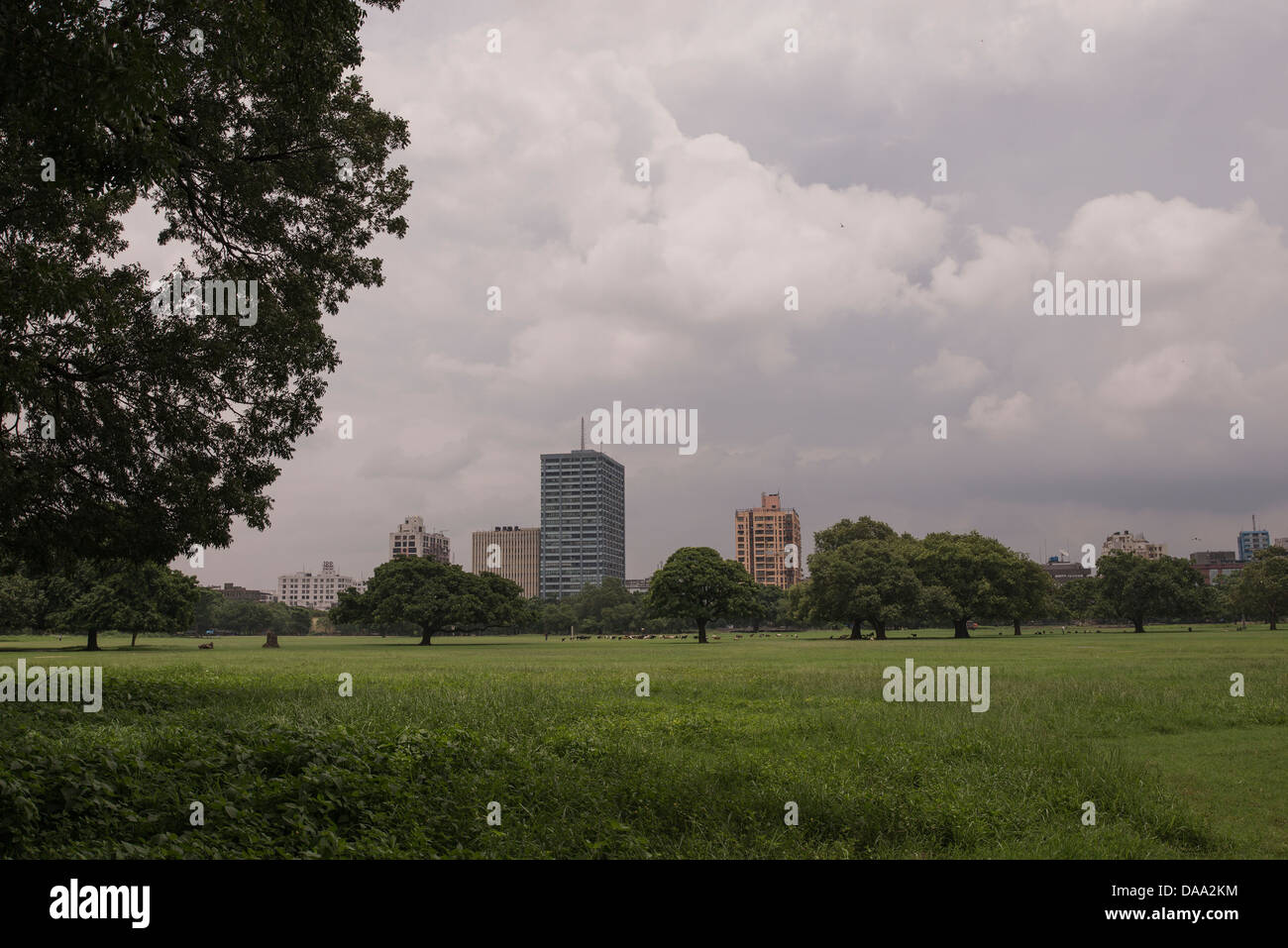 Maidan kolkata Stockfoto