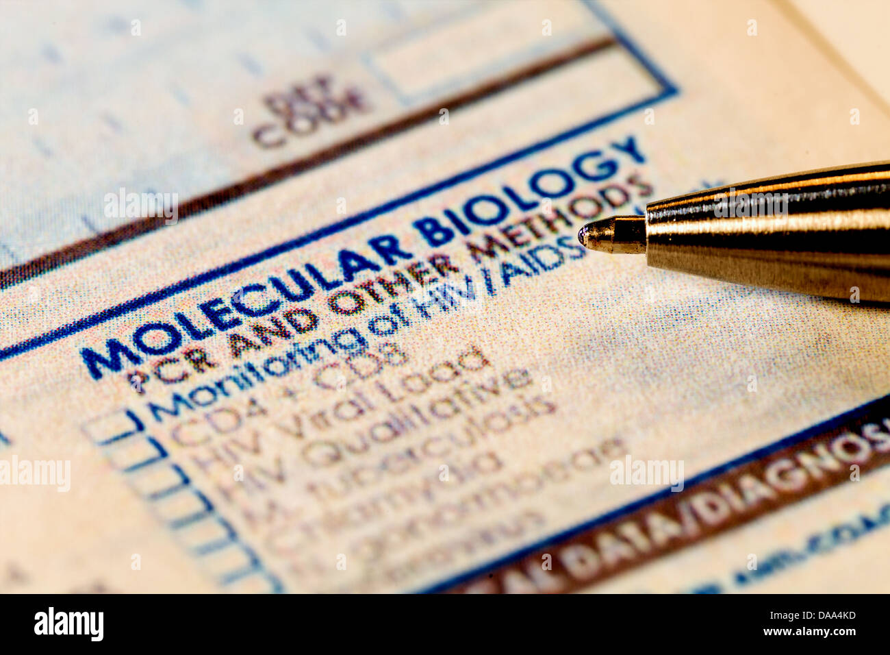 molekularbiologische Analyse Stockfoto