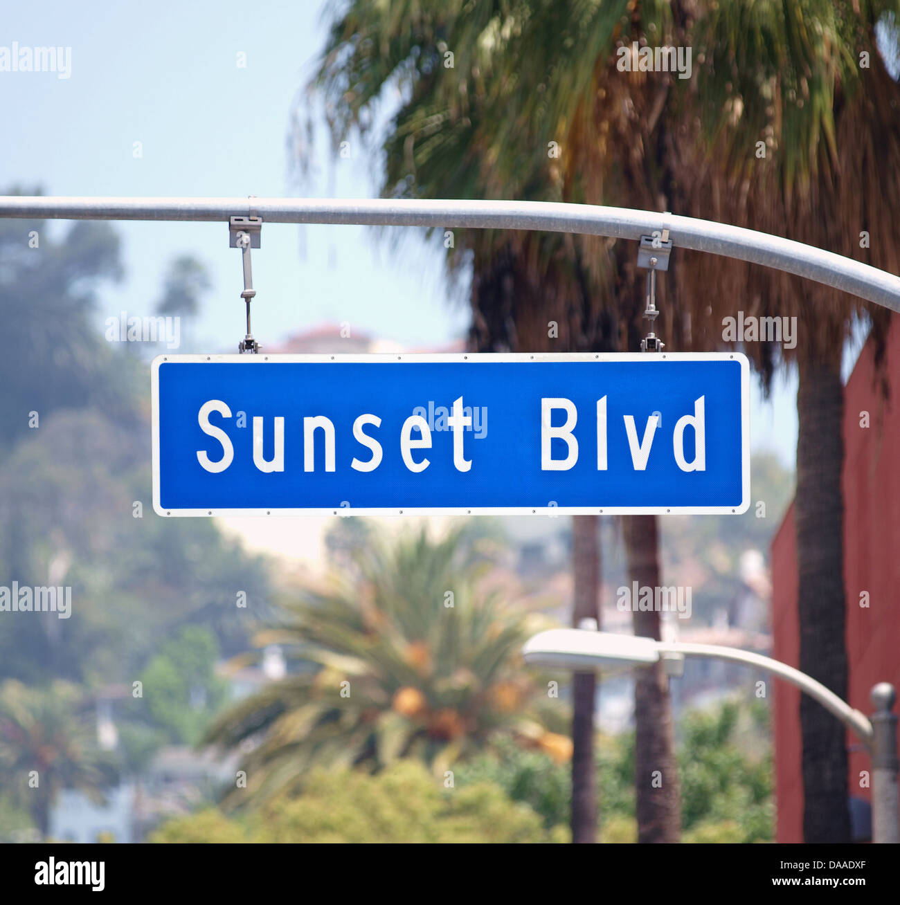 Sunset Blvd Straßenschild mit Palmen in Hollywood, Kalifornien. Stockfoto