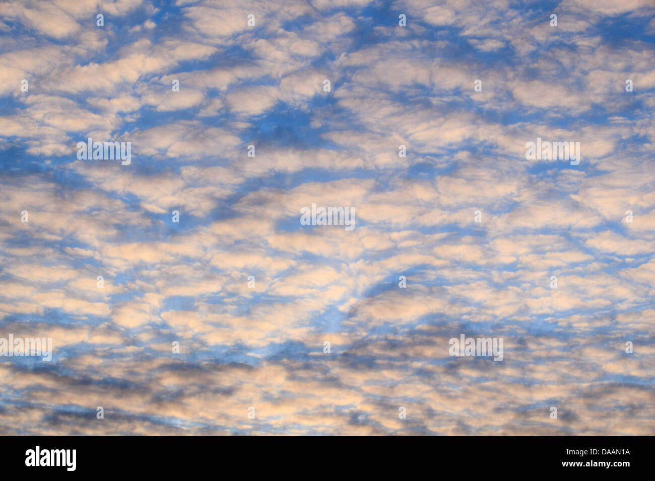 Luft, Breite, Wetter, Wolken, Himmel, Wolke Bildung blauer, blauer Himmel, weiß, wind, bewegen Stockfoto