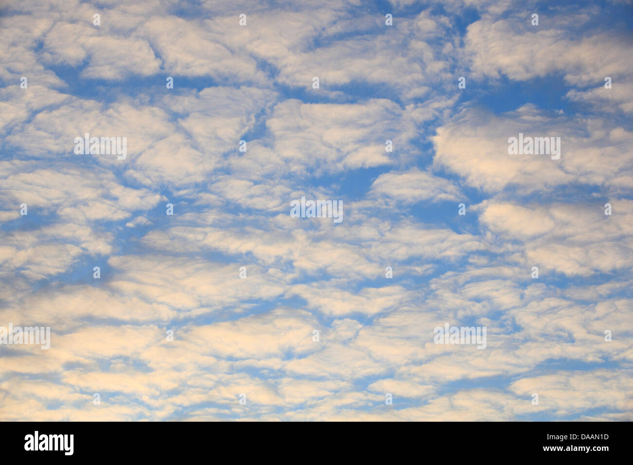 Luft, Breite, Wetter, Wolken, Himmel, Wolke Bildung blauer, blauer Himmel, weiß, wind, bewegen Stockfoto
