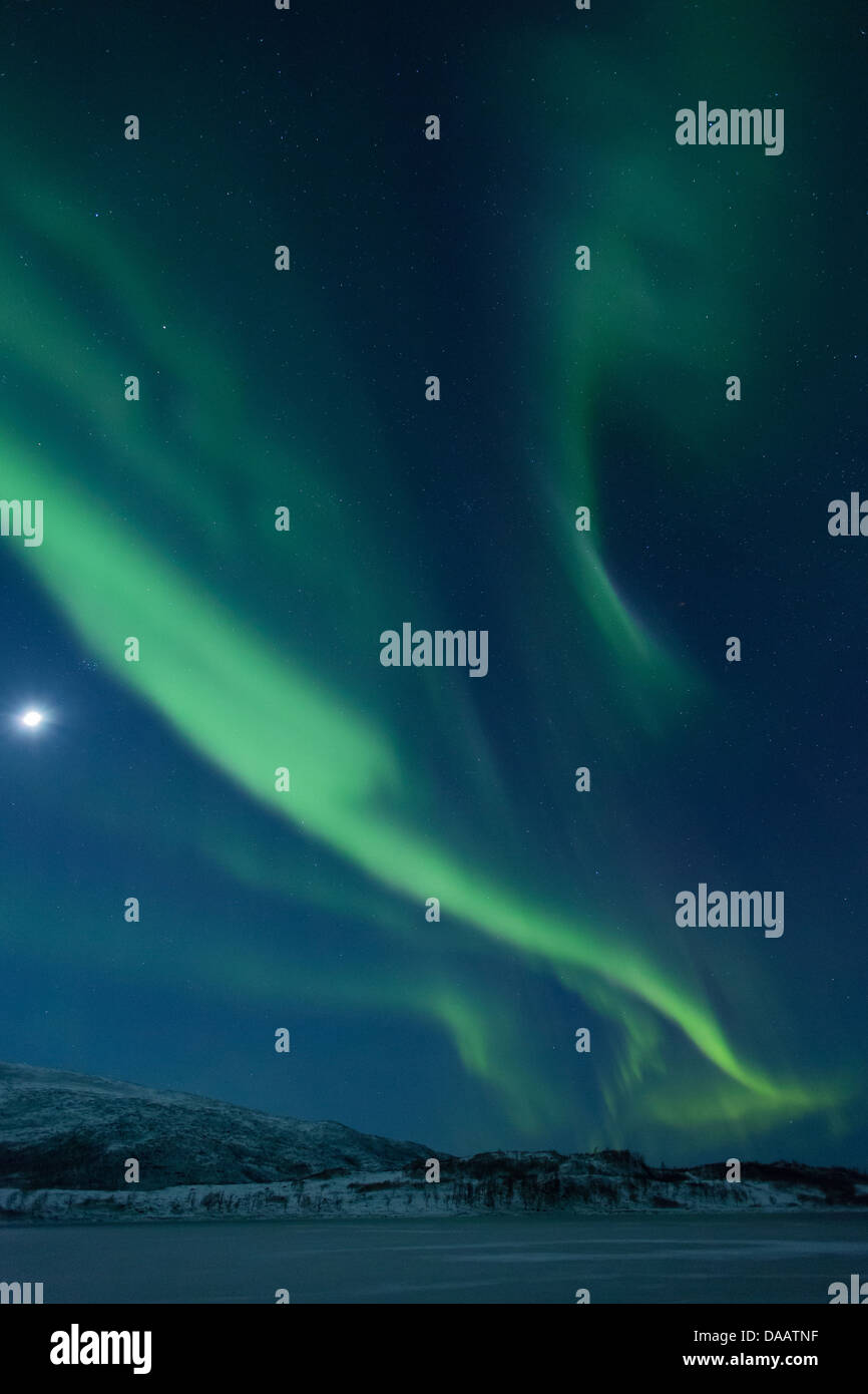 Aurora Borealis, Eis, Eisschollen, Europa, Himmel, Mond, Nacht, Nordlicht, Norwegen, Polarlicht, Skandinavien, Skarsfjord, Tromsö, wi Stockfoto