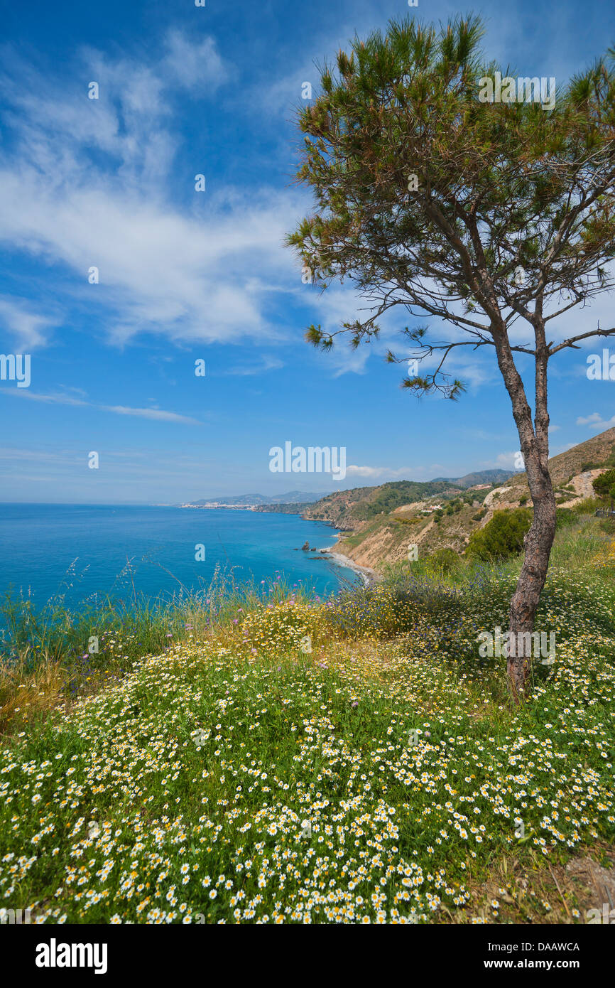Felsige Küste in der Nähe von Almunecar, Nerja, Malaga, La Axarquia, Costa Del Sol, Spanien Stockfoto