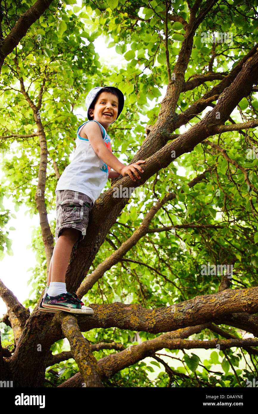 Glückliches Kind auf einem Baum Stockfoto