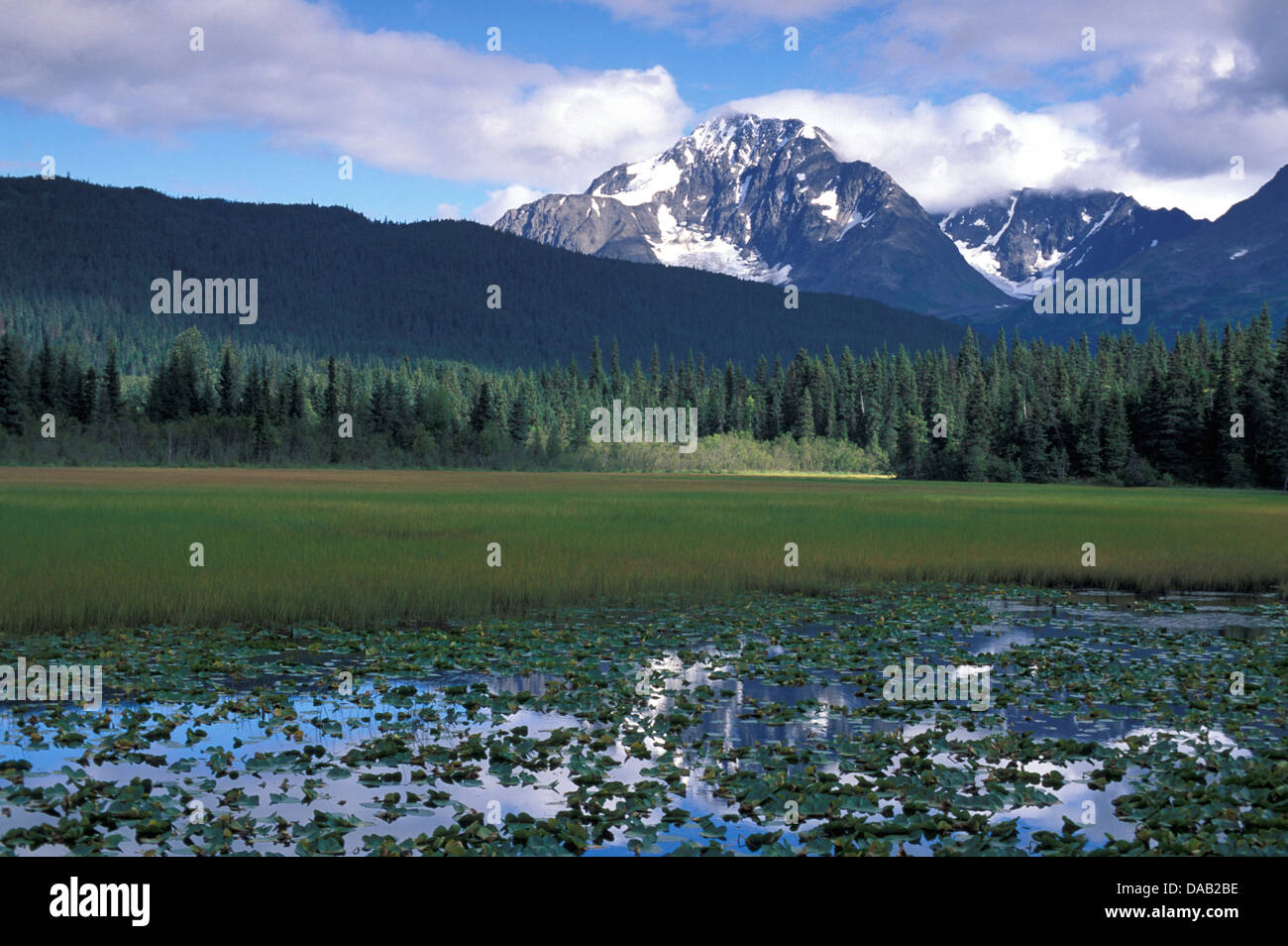 Kenai Mountains, Seward Highway, Alaska, USA, sumpfig, üppigen Wald, Berg, Wolken, Berge, Gebirge, Gipfel, Schnee Stockfoto