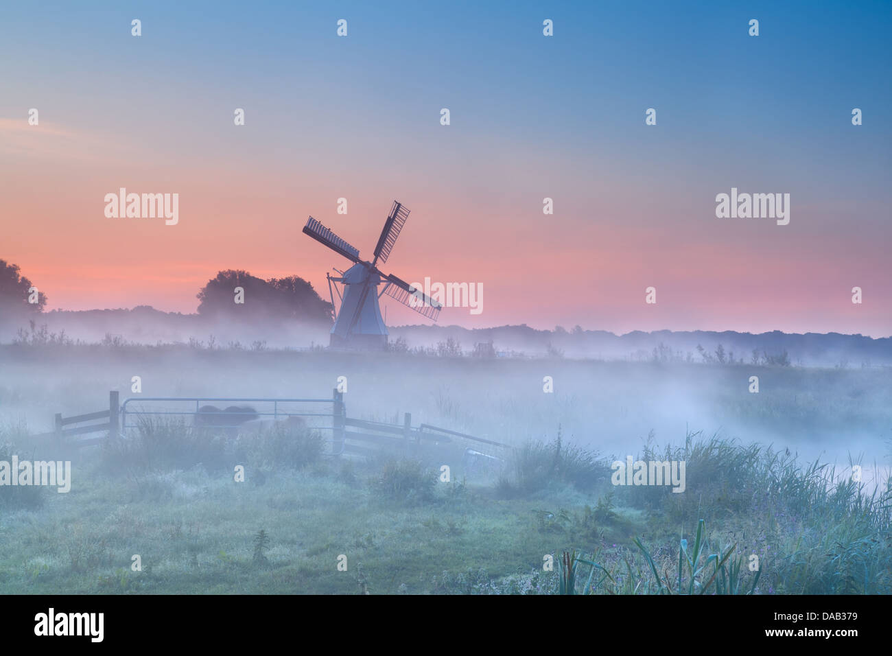 Holländische Windmühle im dichten Morgennebel bei Sommer Sonnenaufgang Stockfoto