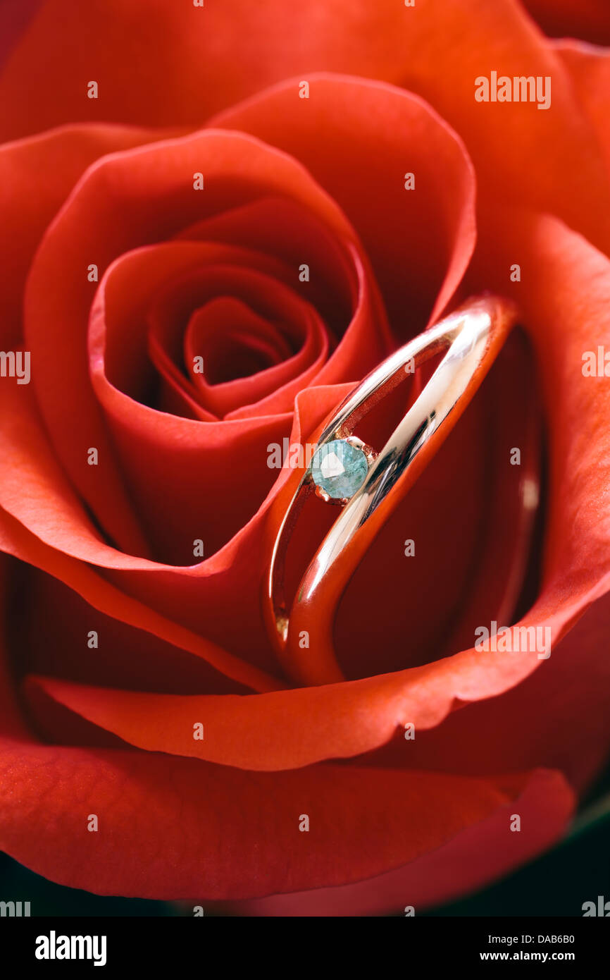 Liebe Konzept mit Ring und rote Blume, selektiven Fokus Stockfoto