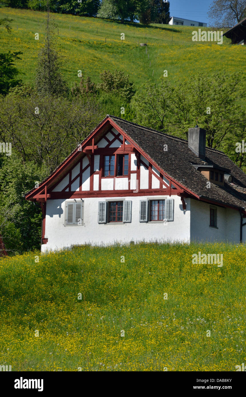 Typische traditionelle Schweizer Haus auf einem Hügel, Mülenen,  Richterswil, Zürich, Schweiz Stockfotografie - Alamy