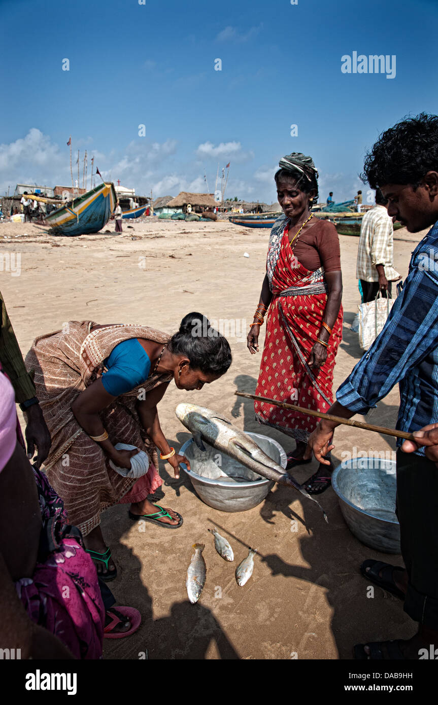 Frau Fisch am Strand zu verkaufen. Puri, Orissa, Indien Stockfoto