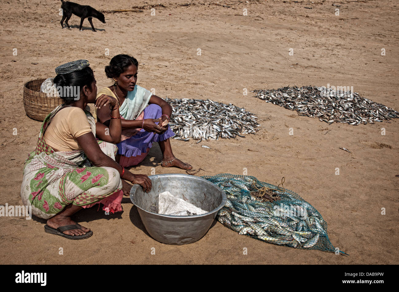 Frau Fisch am Strand zu verkaufen. Puri, Orissa, Indien Stockfoto