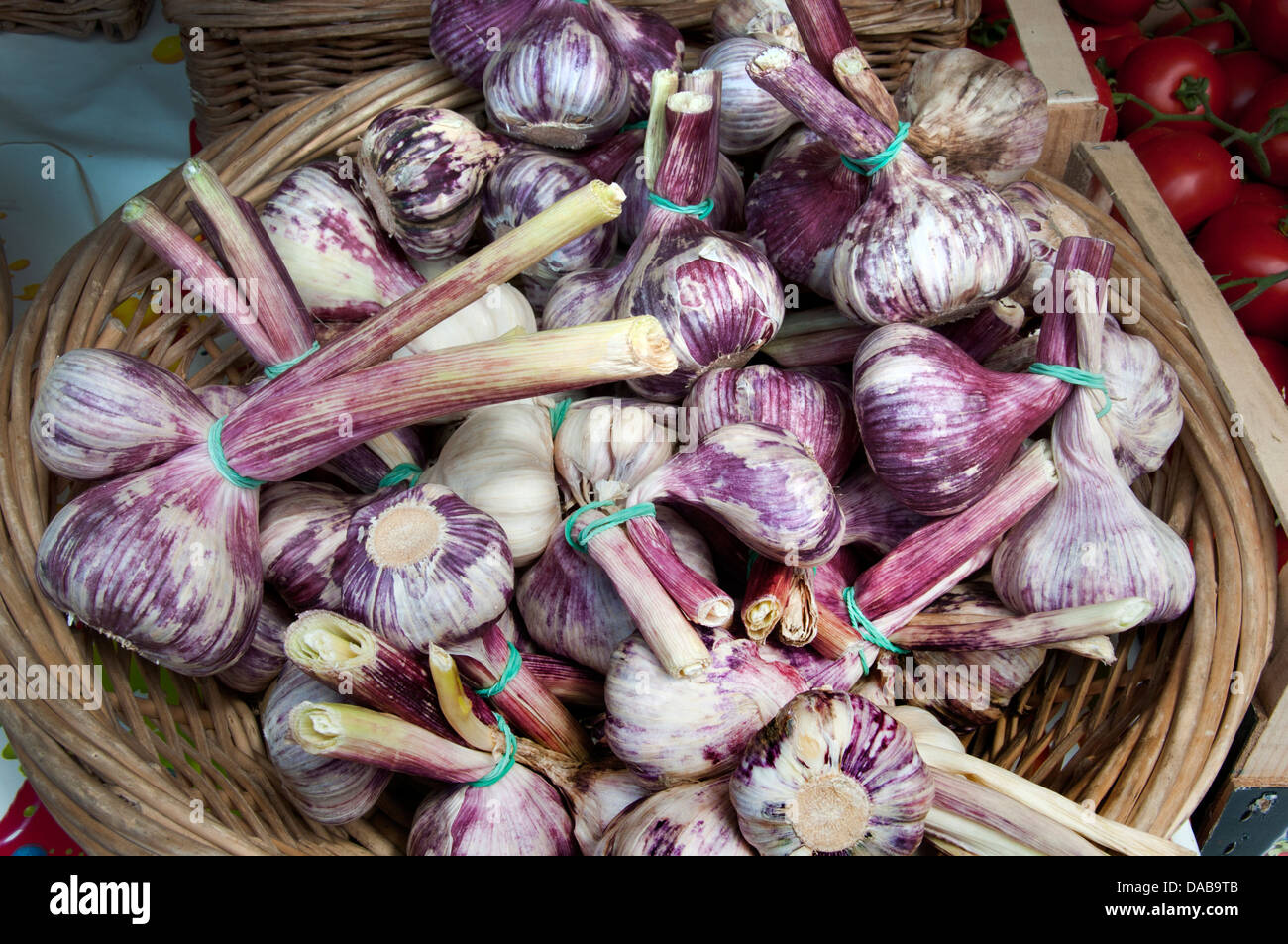 Knoblauch Gemüsehändler schöne alte Markt (Cours Saleya Quadrat) Côte d ' Azur Cote d ' Azur Frankreich Stockfoto